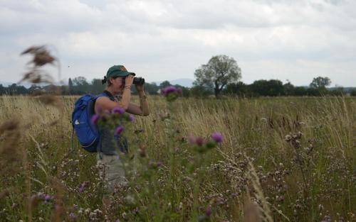 A woman stands in a summer meadow looking through binoculars.
