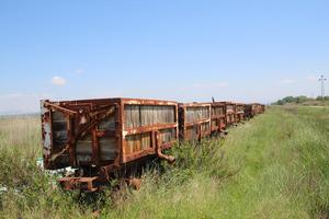 Rusty railroad cars stand abandoned in the tall grass.