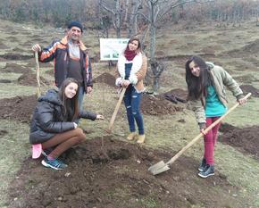 A man and four girls are planting hazelnut trees in a meadow.